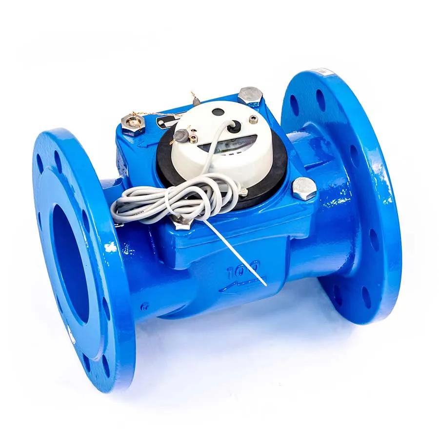 Счетчик воды ВСХНд 100