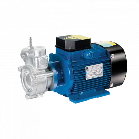 Самовсасывающие вихревые насосы-флотаторы QY, QYL